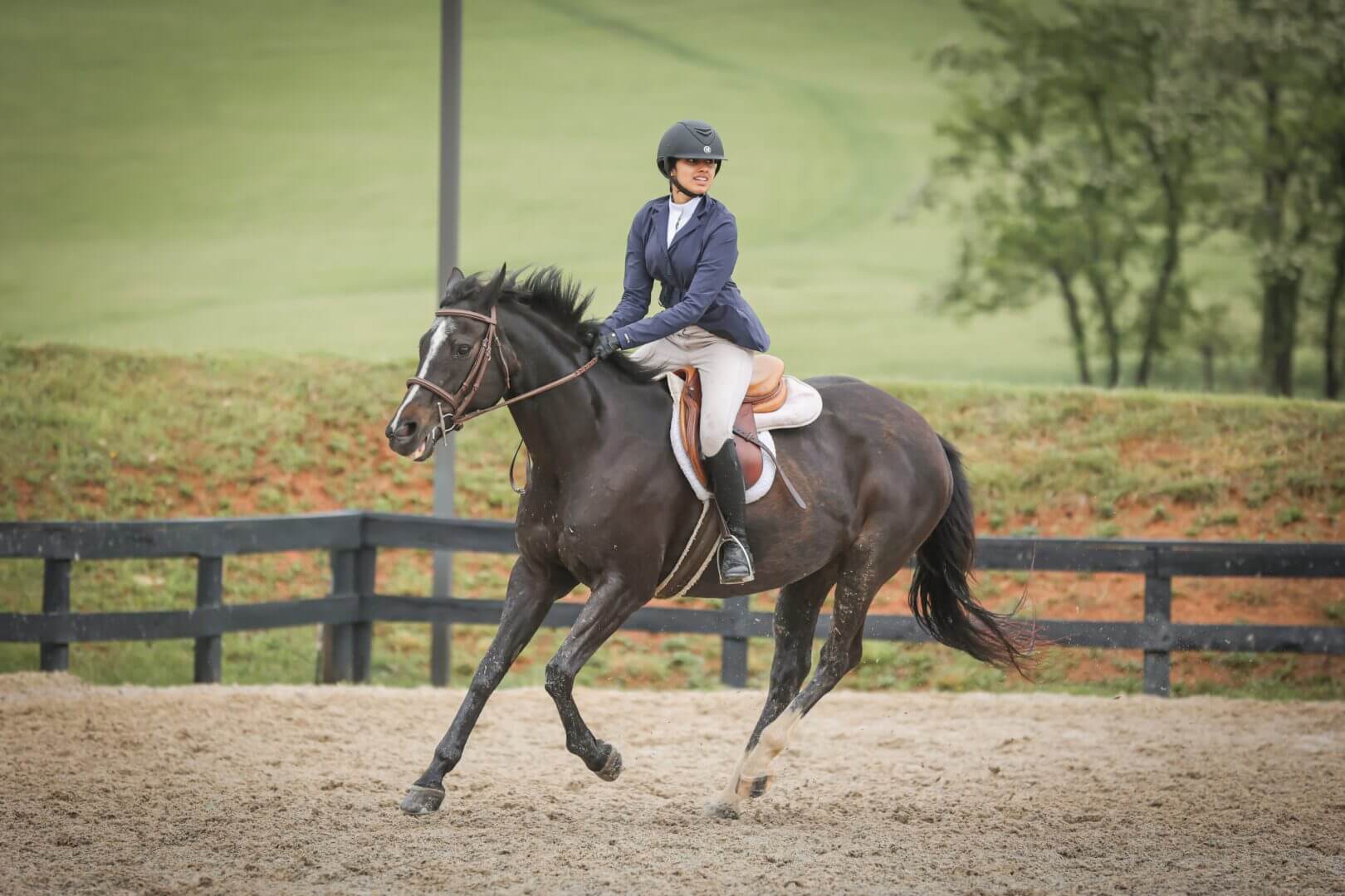 Equestrian riding a horse in an arena.|Equestrian jumping over colorful hurdle outdoors.|Horse and rider jumping over obstacle.|Equestrian jumping over hurdle in competition.|Equestrian riding a horse indoors.