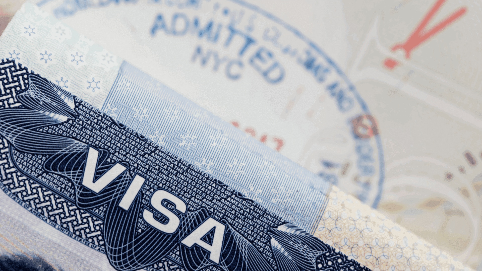 A close up of the visa section of an american passport.|A woman with long black hair smiles for the camera.