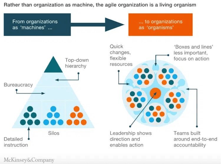 A diagram of the organization as machine, and the agile organization is a living organisation.